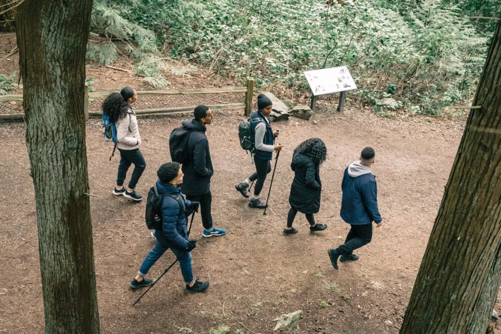 Groupe en balade en forêt pendant une résidence d'artistes à la campagne
